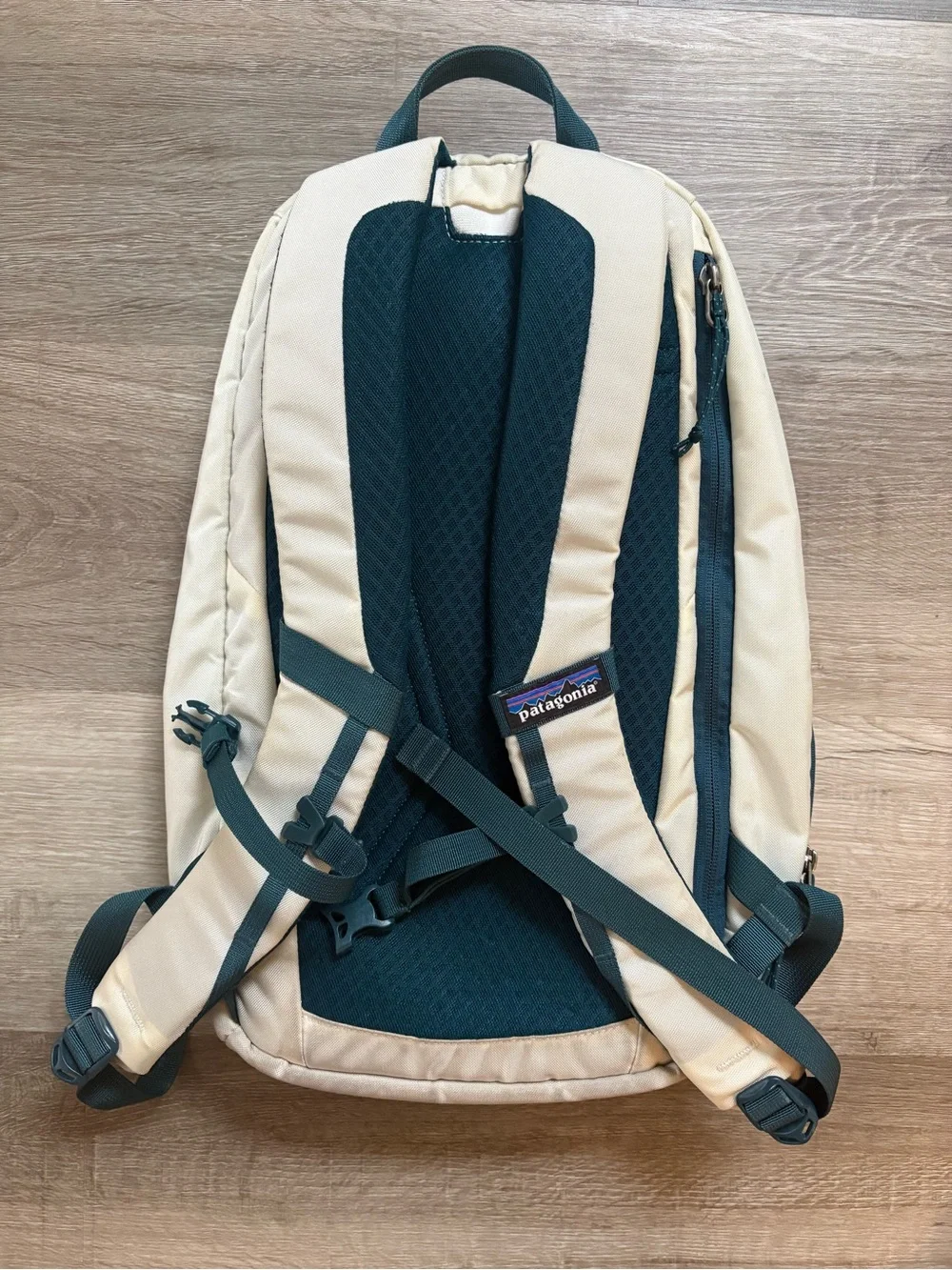 Patagonia Atom 18L Backpack